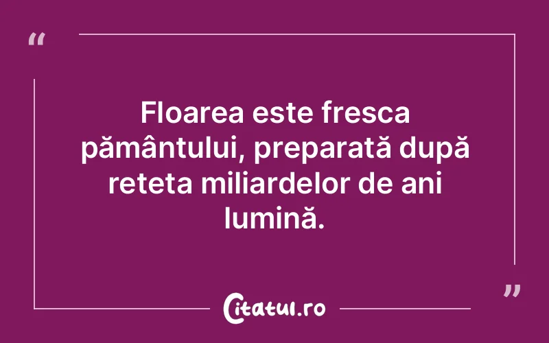 Citat Autor necunoscut - citate spiritualitate