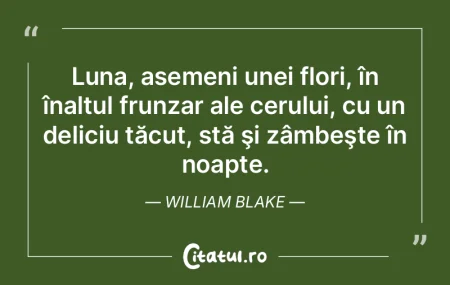 Luna, asemeni unei flori, în înaltul f... Luna, asemeni unei flori, în înaltul f...