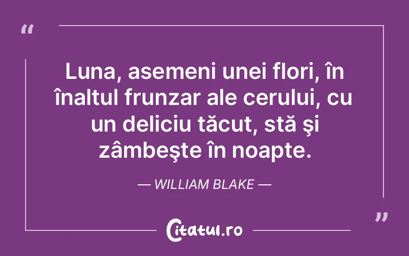 Citat William Blake - citate spiritualitate