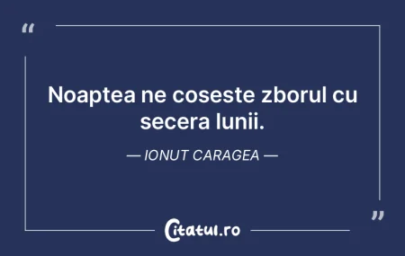Noaptea ne cosește zborul cu secera lun... Noaptea ne cosește zborul cu secera lun...