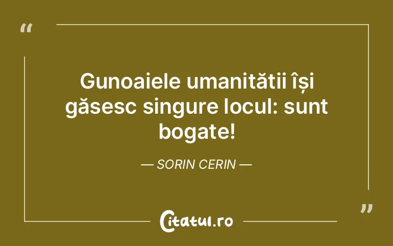 Citat Sorin Cerin - citate spiritualitate