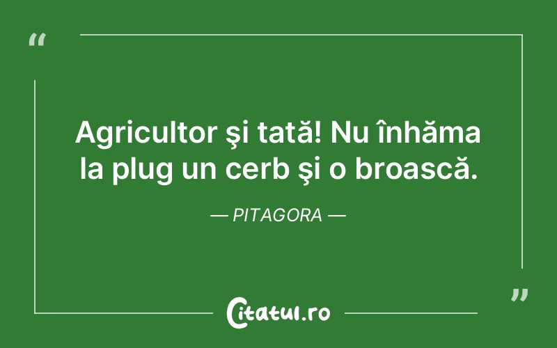 Citat Pitagora - citate spiritualitate