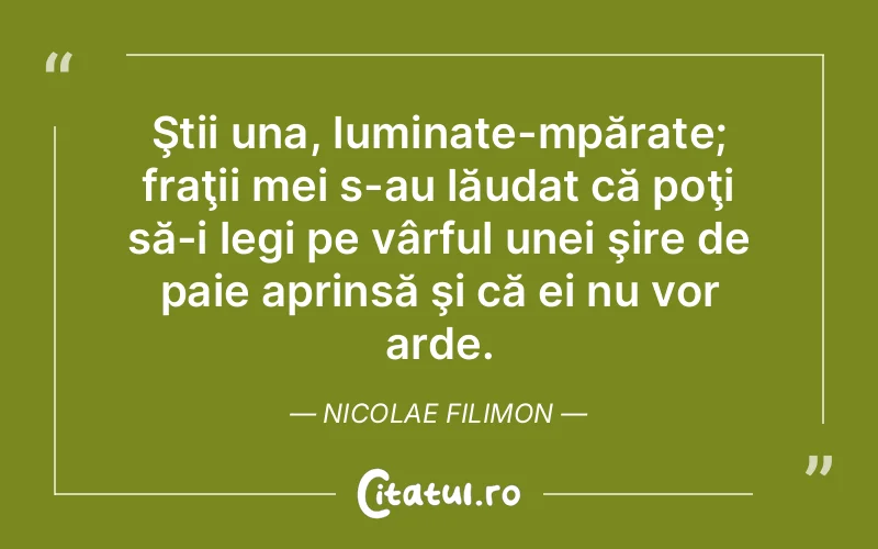 Citat Nicolae Filimon - citate spiritualitate