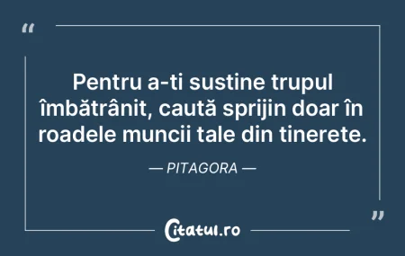 Pentru a-ți susține trupul îmbătrân... Pentru a-ți susține trupul îmbătrân...