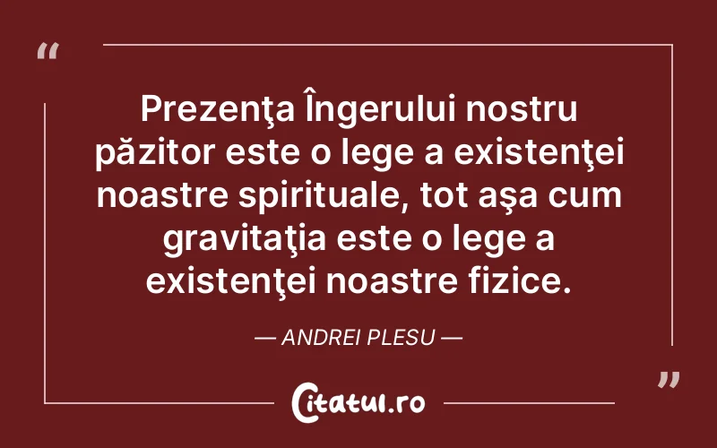 Citat Andrei Plesu - citate spiritualitate