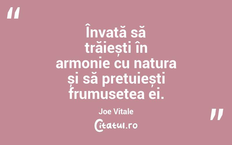 Învață să trăiești în armonie cu natura și să prețuiești frumusețea ei. Joe Vitale
