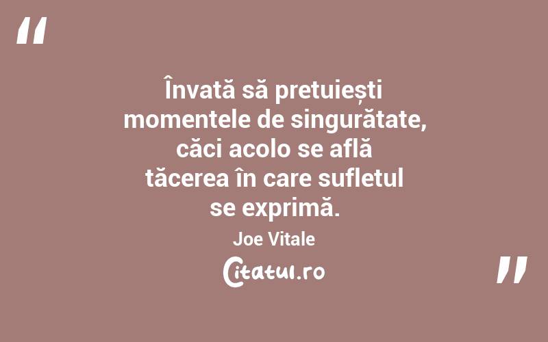 Învață să prețuiești momentele de singurătate, căci acolo se află tăcerea în care sufletul se exprimă. Joe Vitale

