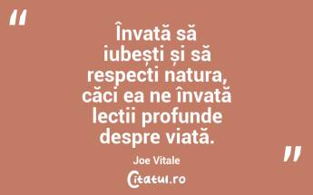 Învață să iubești și să respecți natura, căci ea ne învață lecții profunde despre viață. Joe Vitale...