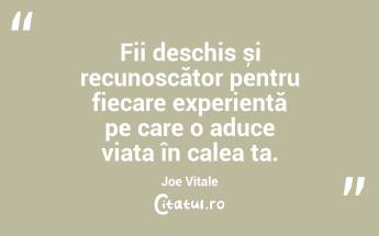 Fii deschis și recunoscător pentru fiecare experiență pe care o aduce viața în calea ta. Joe Vitale...