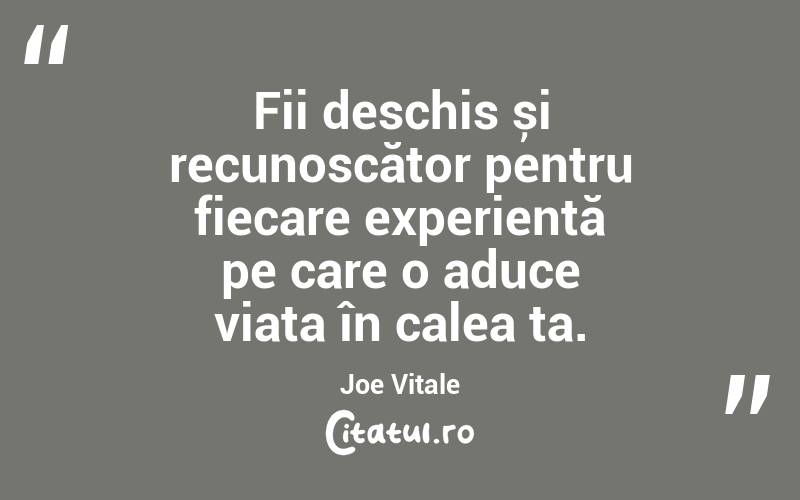 Fii deschis și recunoscător pentru fiecare experiență pe care o aduce viața în calea ta. Joe Vitale
