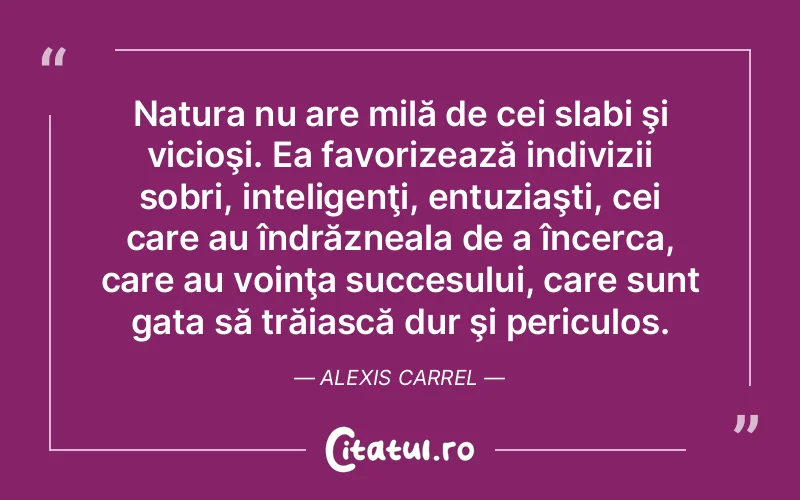 Citat Autor necunoscut - citate spiritualitate