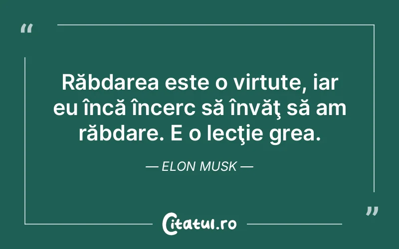 Citat Elon Musk - citate spiritualitate