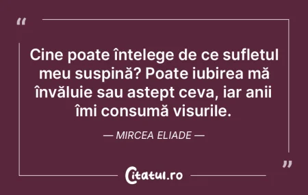 Cine poate înțelege de ce sufletul meu... Cine poate înțelege de ce sufletul meu...
