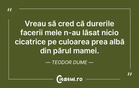 Vreau să cred că durerile facerii mele... Vreau să cred că durerile facerii mele...