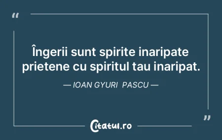 Îngerii sunt spirite inaripate prietene... Îngerii sunt spirite inaripate prietene...