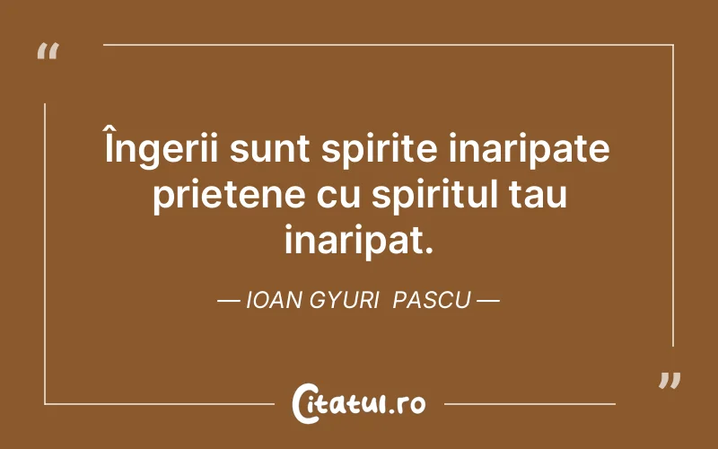 Citat Ioan Gyuri Pascu - citate spiritualitate