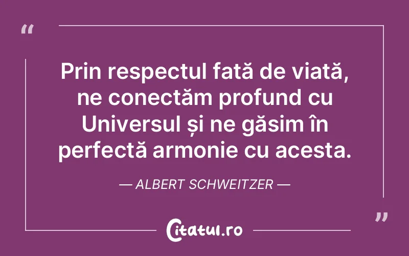 Citat Albert Schweitzer - citate spiritualitate