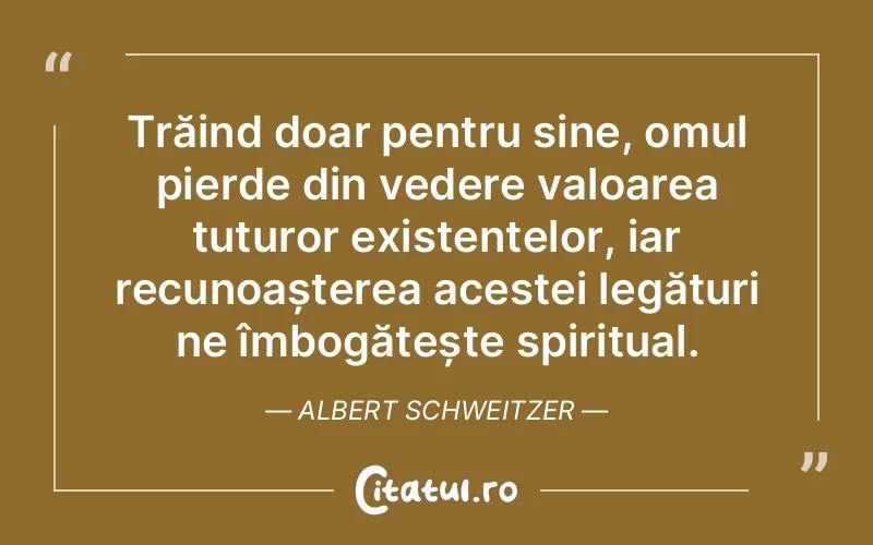 Citat Albert Schweitzer - citate spiritualitate