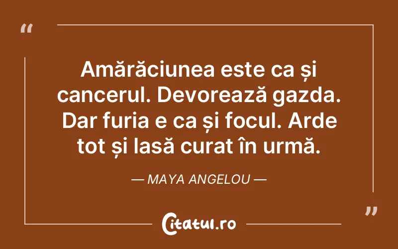 Citat Maya Angelou - citate spiritualitate