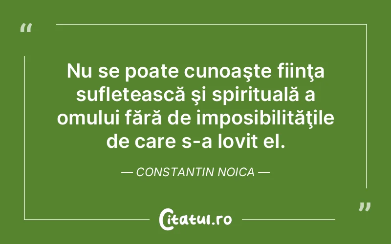 Citat Constantin Noica - citate spiritualitate