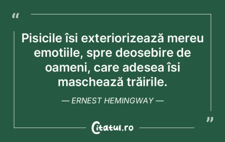 Pisicile își exteriorizează mereu emo... Pisicile își exteriorizează mereu emo...