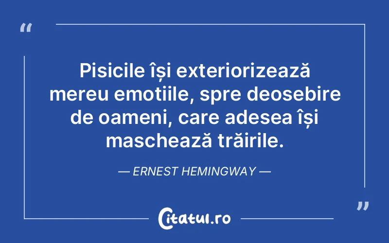 Citat Ernest Hemingway - citate spiritualitate
