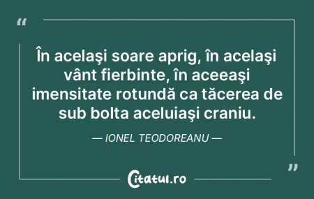 În acelaşi soare aprig, în acelaşi v... În acelaşi soare aprig, în acelaşi v...