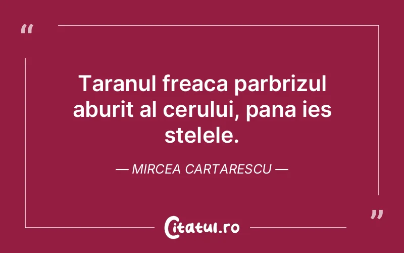 Taranul freaca parbrizul aburit al cerului, pana ies stelele. Mircea Cartarescu