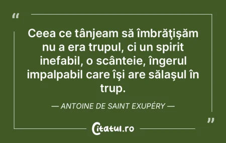 Ceea ce tânjeam să îmbrăţişăm nu ... Ceea ce tânjeam să îmbrăţişăm nu ...