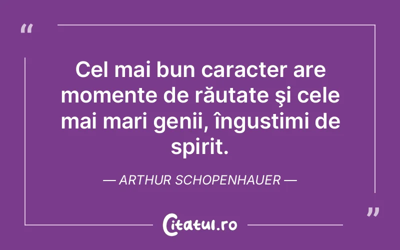 Citat Arthur Schopenhauer - citate spiritualitate