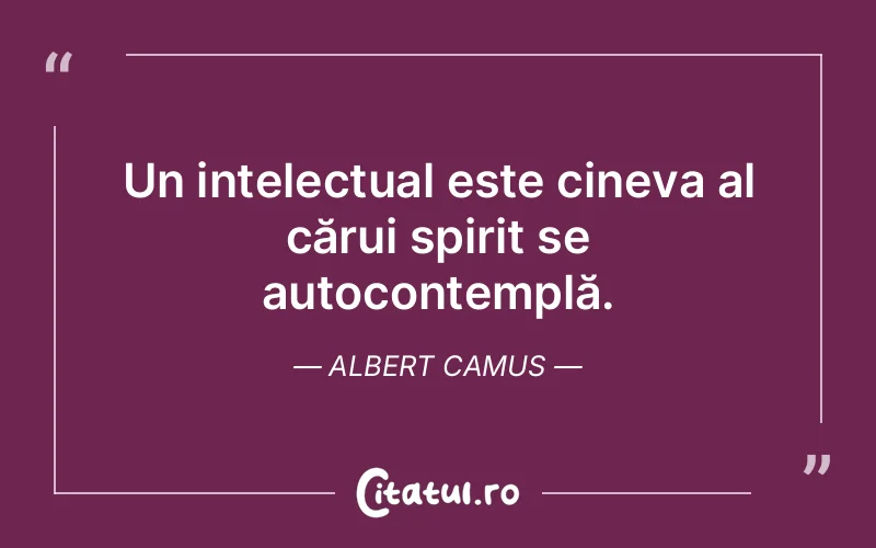 Citat Albert Camus - citate spiritualitate