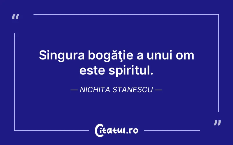 Citat Nichita Stanescu - citate spiritualitate