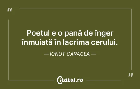 Poetul e o pană de înger înmuiată î...