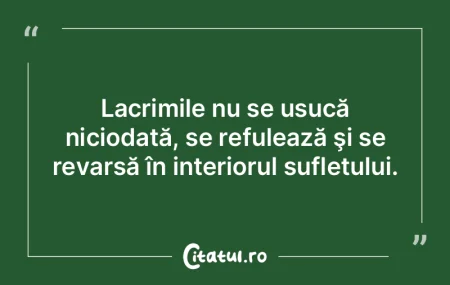 Lacrimile nu se usucă niciodată, se re... Lacrimile nu se usucă niciodată, se re...
