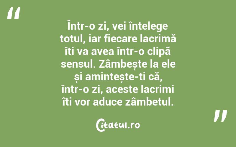 Într-o zi, vei înțelege totul, iar fiecare lacrimă îți va avea într-o clipă sensul. Zâmbește la ele și amintește-ți că, într-o zi, aceste lacrimi îți vor aduce zâmbetul.
