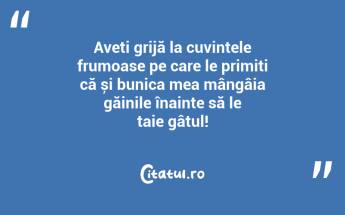 Aveți grijă la cuvintele frumoase pe care le primiți că și bunica mea mângâia găinile înainte să le taie gâtul!...