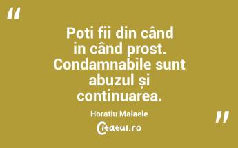 Poți fii din când in când prost. Condamnabile sunt abuzul și continuarea. Horațiu Malaele...