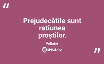 Prejudecățile sunt rațiunea proștilor. Voltaire...