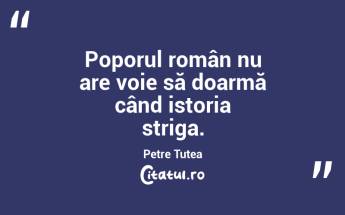 Poporul român nu are voie să doarmă când istoria striga. Petre Țuțea ...
