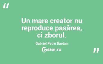 Un mare creator nu reproduce pasărea, ci zborul. Gabriel Petru Baetan...