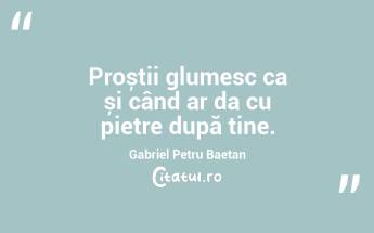 Proștii glumesc ca și când ar da cu pietre după tine. Gabriel Petru Baetan...