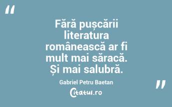 Fără pușcării literatura românească ar fi mult mai săracă. Și mai salubră. Gabriel Petru Baetan ...