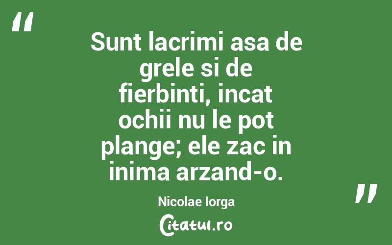Sunt lacrimi asa de grele si de fierbinti, incat ochii nu le pot plange; ele zac in inima arzand-o. Nicolae Iorga