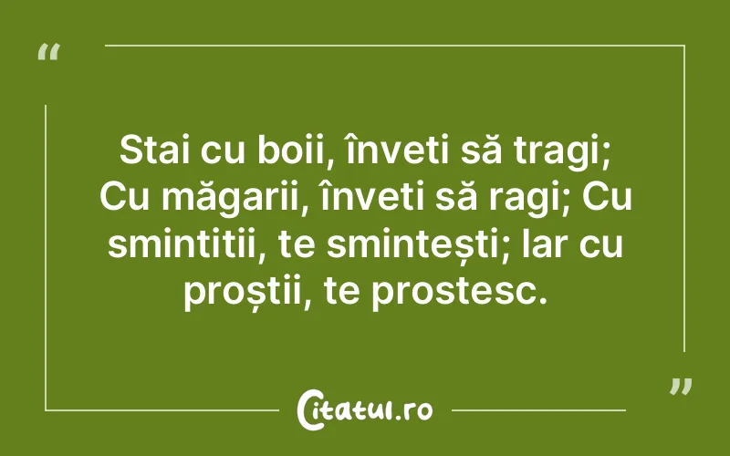 Stai cu boii, înveți să tragi; Cu măgarii, înveți să ragi; Cu smintiții, te smintești; lar cu proștii, te prostesc.