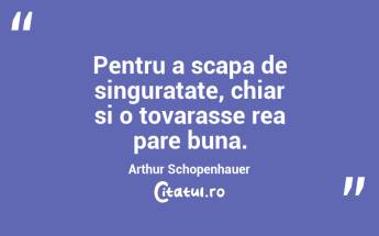 Pentru a scapa de singuratate, chiar si o tovarasse rea pare buna. Arthur Schopenhauer...