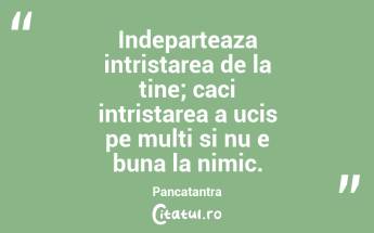 Indeparteaza intristarea de la tine; caci intristarea a ucis pe multi si nu e buna la nimic. Pancatantra...