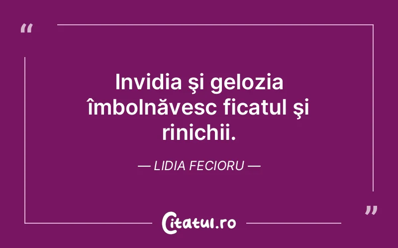 Citat Lidia Fecioru - citate triste