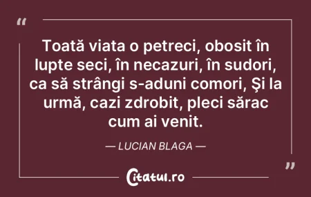 Toată viața o petreci, obosit în lupt...