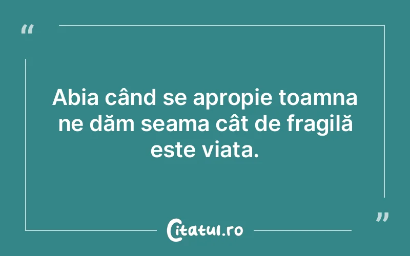 Citat Autor necunoscut - citate triste