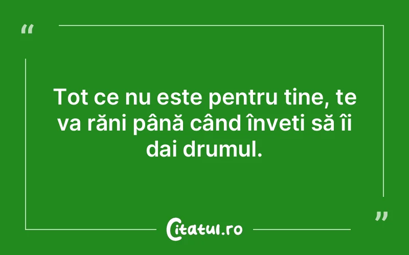 Citat Autor necunoscut - citate triste